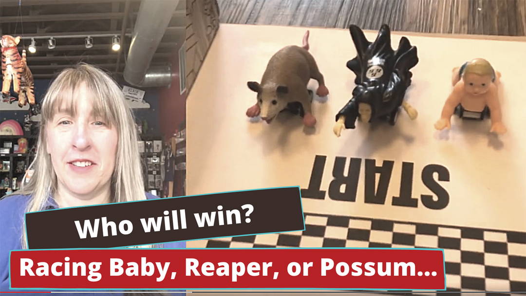 Who will win?  A baby, a possom or a grim reaper???