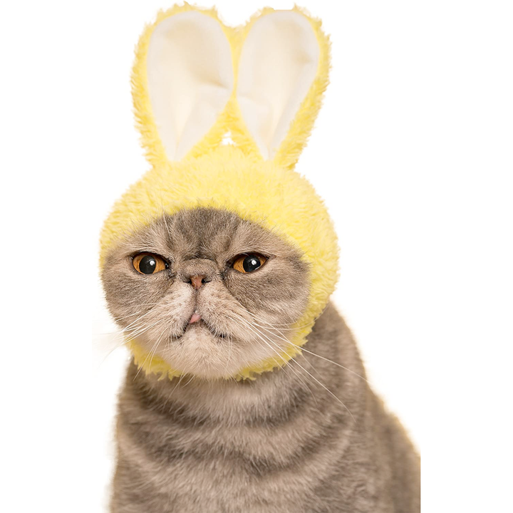 Clever Idiots Inc. Funny Novelties Rabbit Ears Cat Cap Blind Box