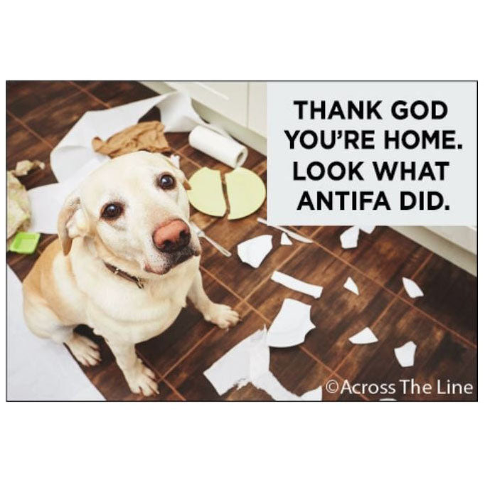 Ephemera Magnets & Stickers Thank God You're home, Look at what Antifa did Magnet
