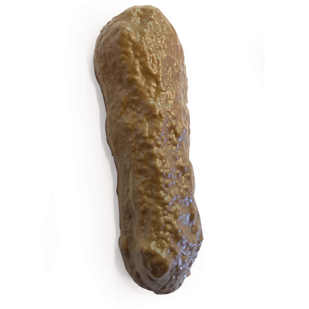 Dog Poop Gag! Off the Wagon Shop