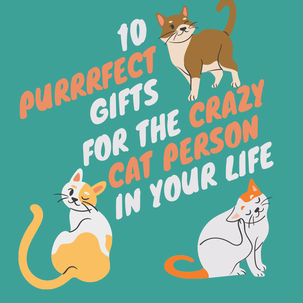 10 Purrrrr-fect Gifts for the Crazy Cat Person In Your Life