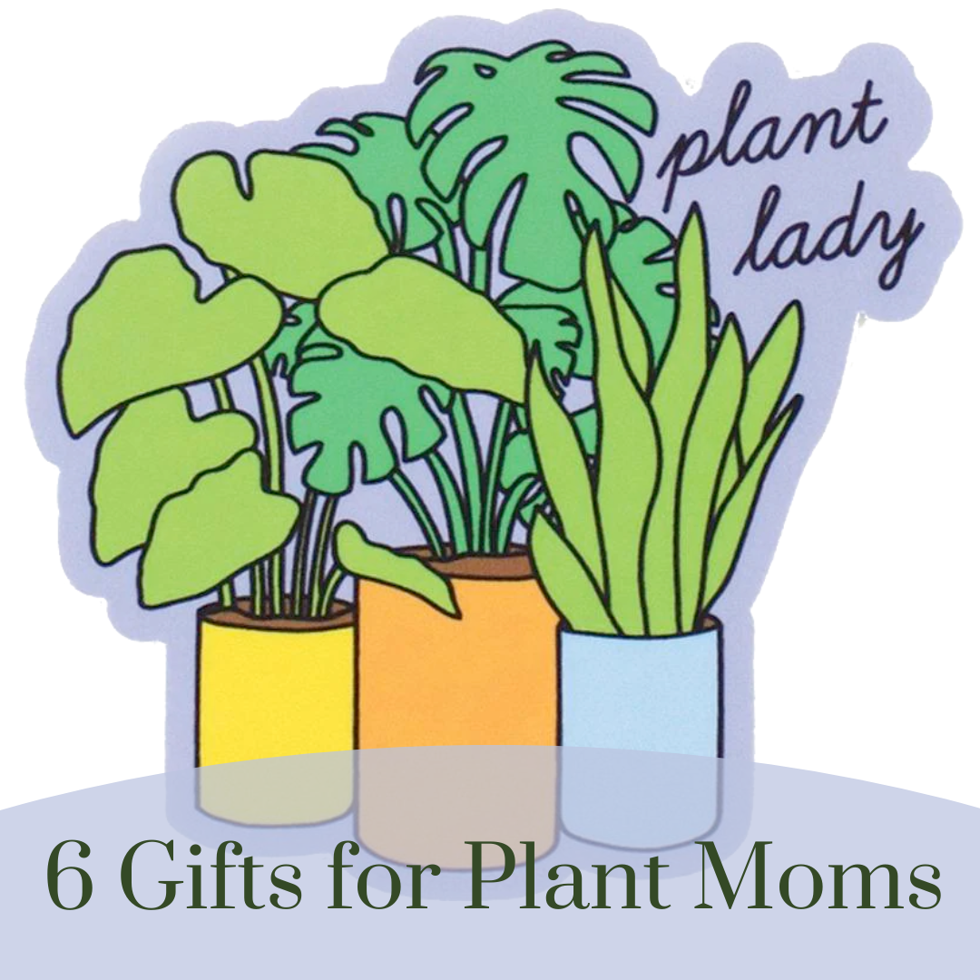 6 Weird and Funny Gifts for Plant Moms