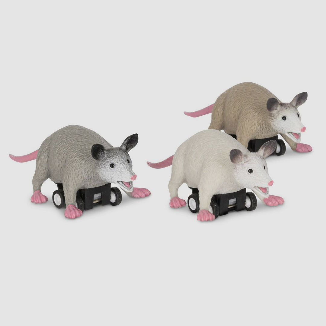 Novelty Gift Store Shop