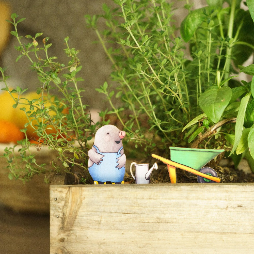 diorama plant pot Gardening Mole Fancy Plants Diorama Kit – Off the Wagon Shop