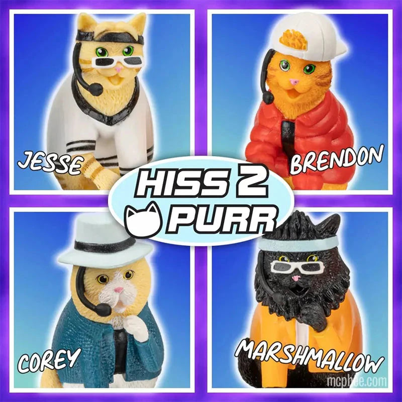 Accoutrements - Archie McPhee Funny Novelties Boy Band Cats - The Hottest Feline Sensation