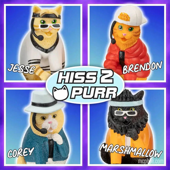 Accoutrements - Archie McPhee Funny Novelties Boy Band Cats - The Hottest Feline Sensation