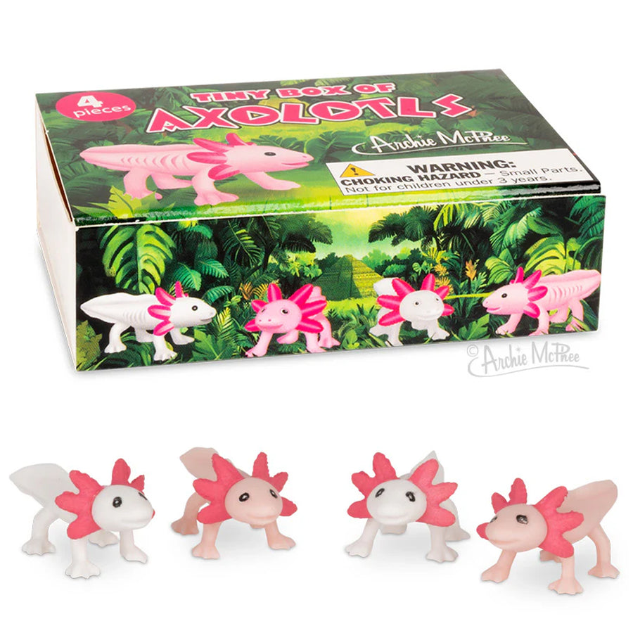 Tiny Tiny Box of Axolotls – Off the Wagon Shop