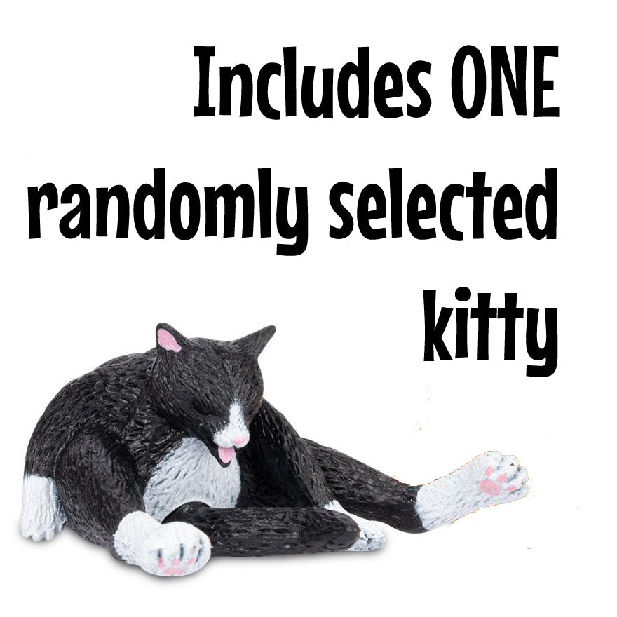Accoutrements - Archie McPhee Toy Novelties Cleaning Kitty - 1 random color