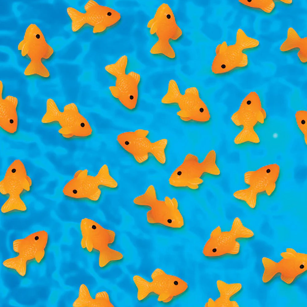 Archie McPhee - Accoutrements Toy Action Figures Itty Bitty Goldfish