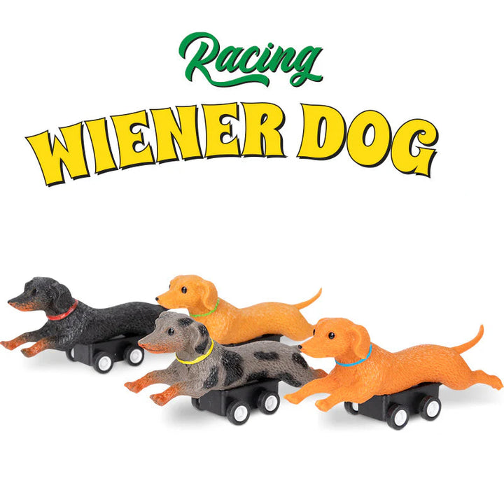 Archie McPhee - Accoutrements Toy Novelties Racing Wiener Dog - 1 random color