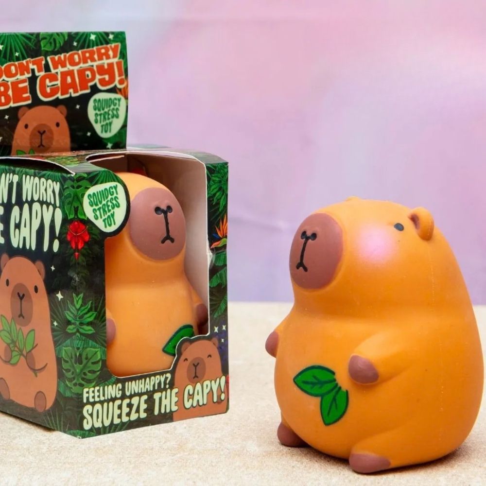 Boxer Gifts Toy Novelties Squishy Capybara