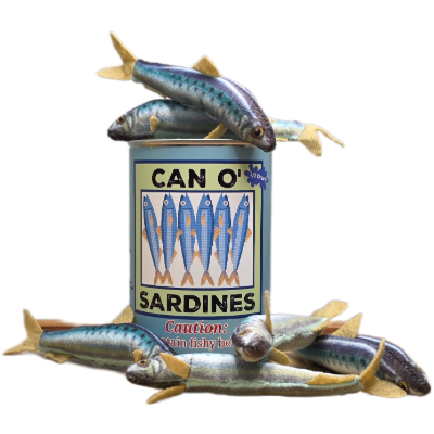 Canned Gifts Funny Novelties Can O' Sardines