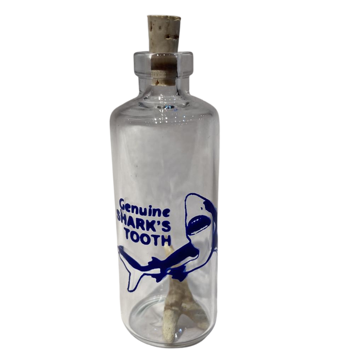 Channel Craft Toy Novelties Shark Tooth in a Bottle