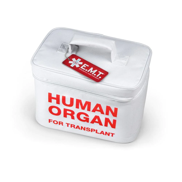 Fred & Friends Home Kitchen & Table Human Organ Lunchbox