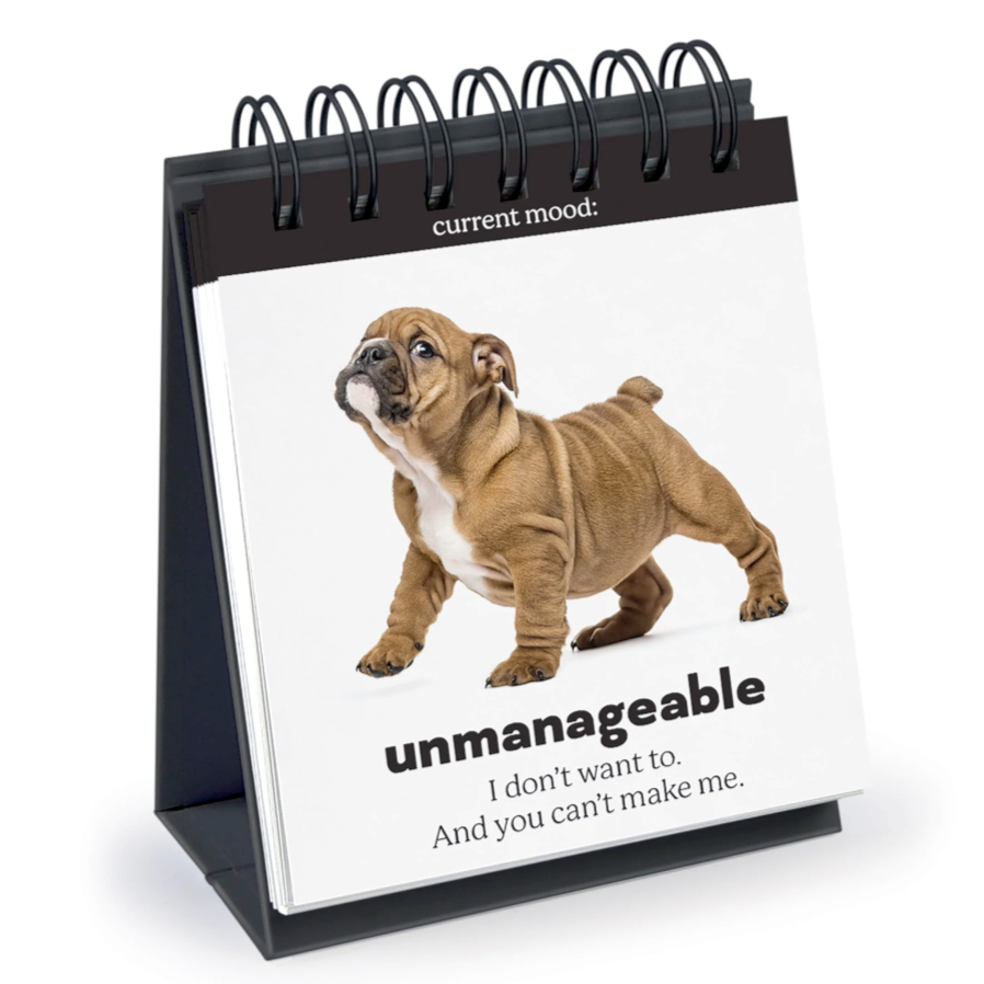 Fred & Friends Office Goods Daily Doggo