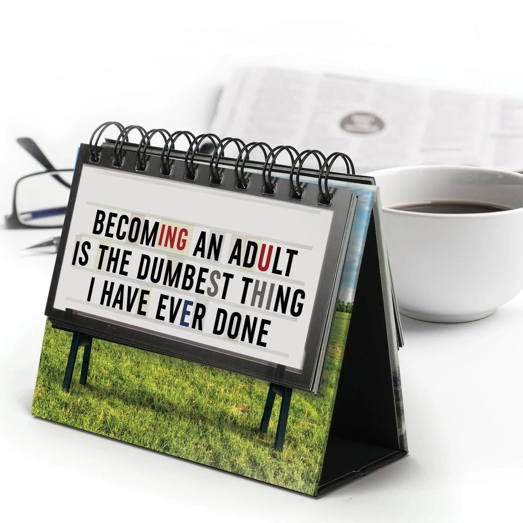Genuine Fred Daily Cattitude Desktop Flip Chart - 48-Page Cat Mood Book, Funny Office Desk Accessory - View #10