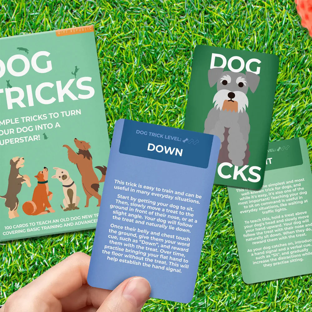 Gift Republic Games Dog Tricks Card Pack