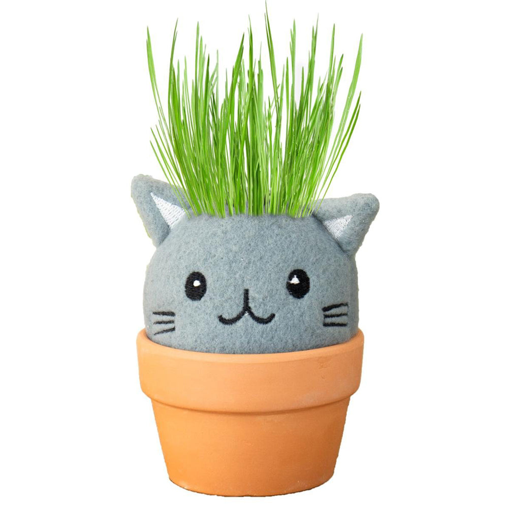 Gift Republic Home Decor Cat Grow Pal Garden