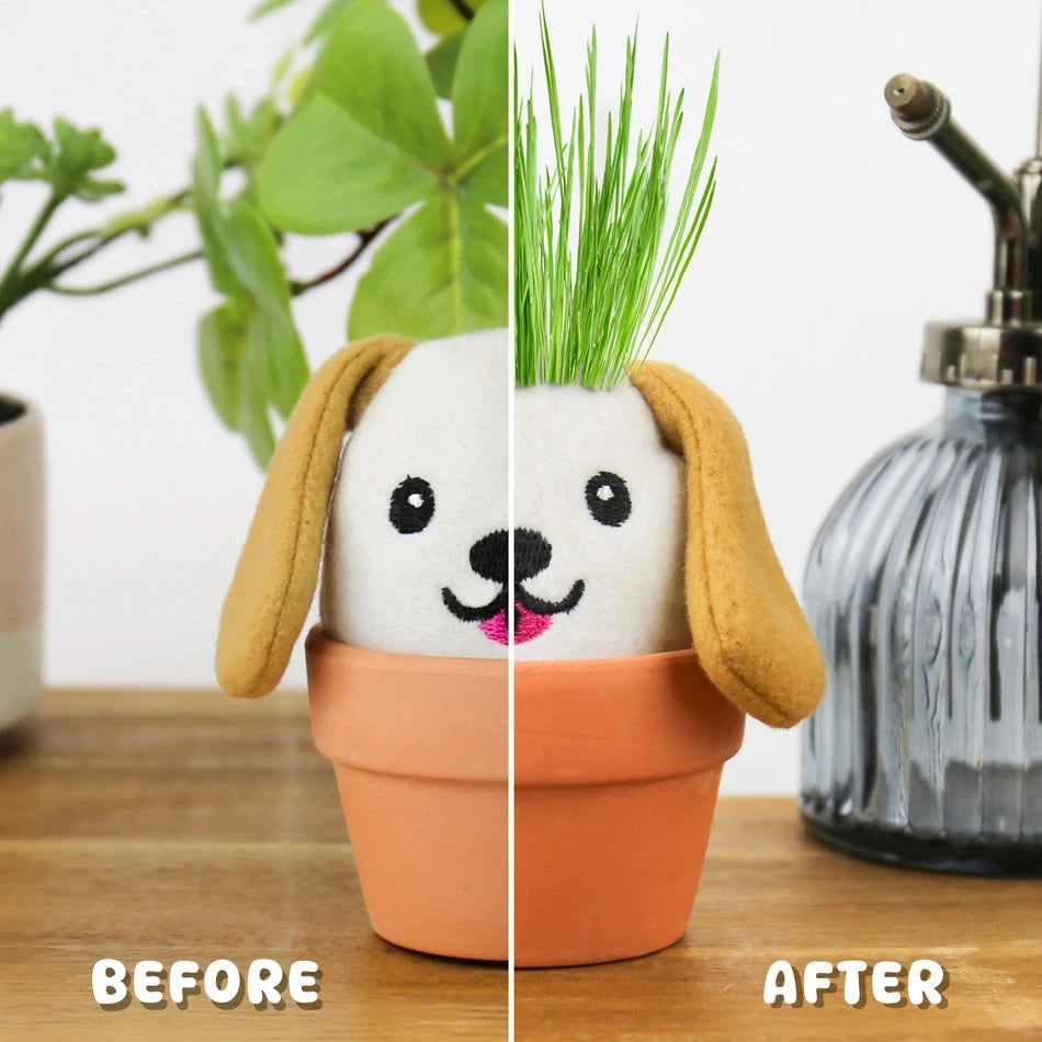 Gift Republic Home Decor Dog Grow Pal Garden