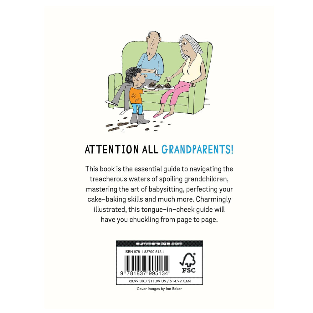 Hachette Book Group - Workman Books How to Survive Being a Grandparent