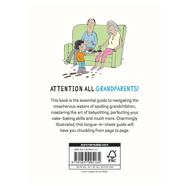 Hachette Book Group - Workman Books How to Survive Being a Grandparent