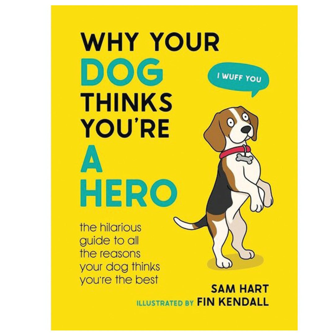 Hachette Book Group - Workman Books Why Your Dog Thinks You're a Hero