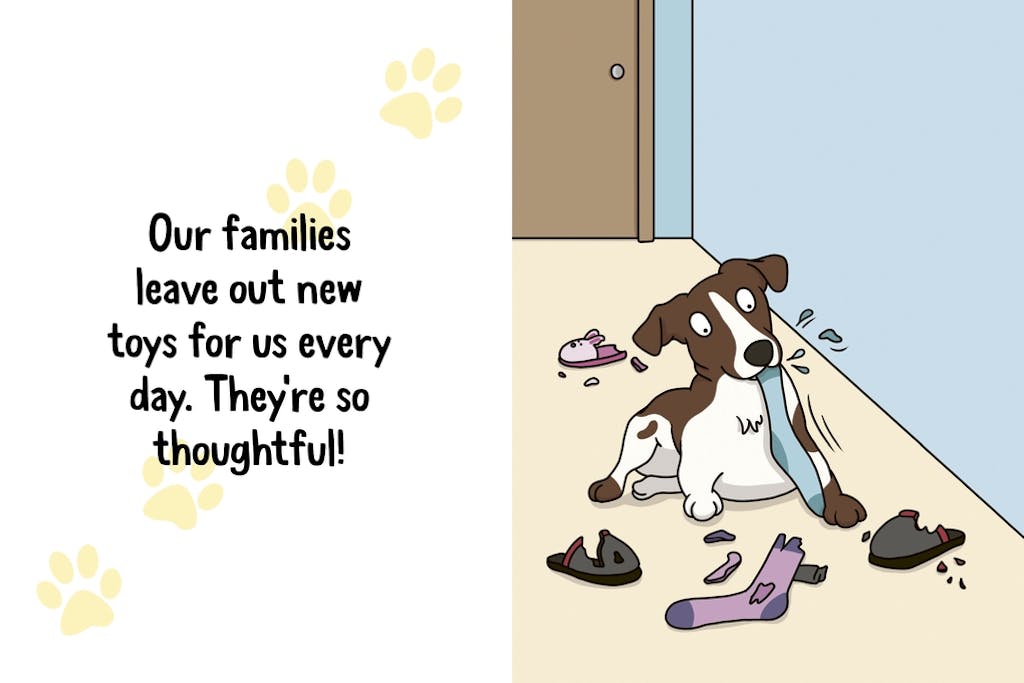 Hachette Book Group - Workman Books Why Your Dog Thinks You're a Hero