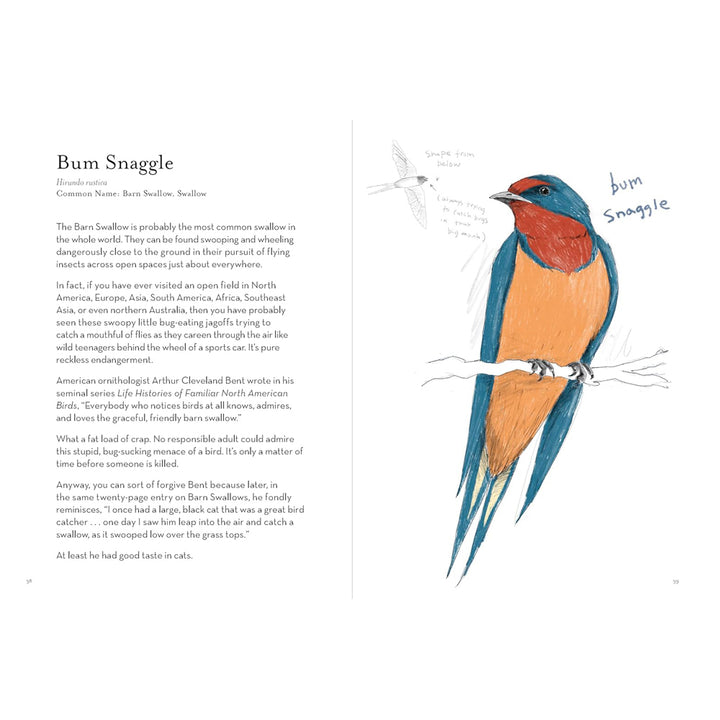 Hachette - Chronicle Books Books A Dumb Birds Field Guide to the Worst Birds Ever