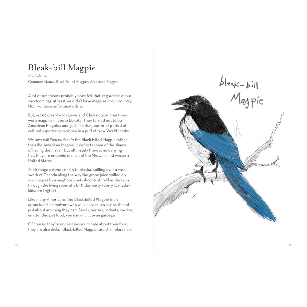Hachette - Chronicle Books Books A Dumb Birds Field Guide to the Worst Birds Ever