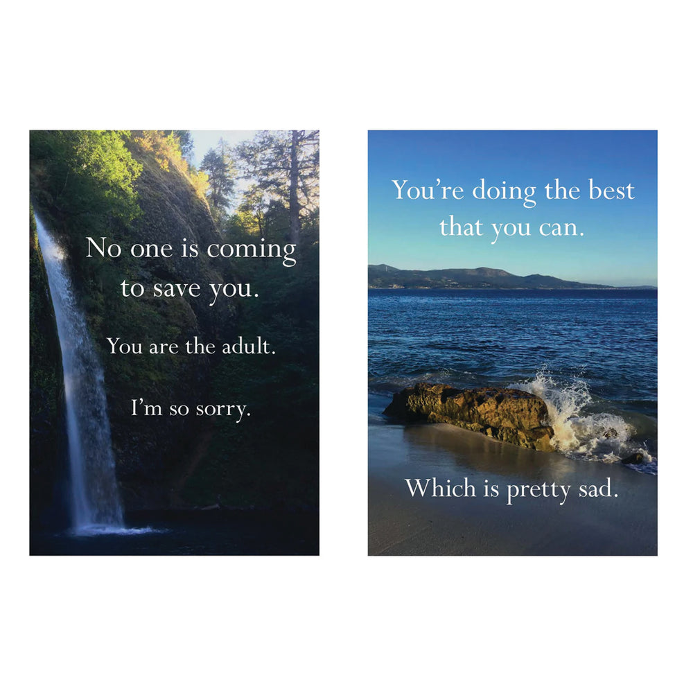 Hachette - Chronicle Books Books Disappointing Affirmations