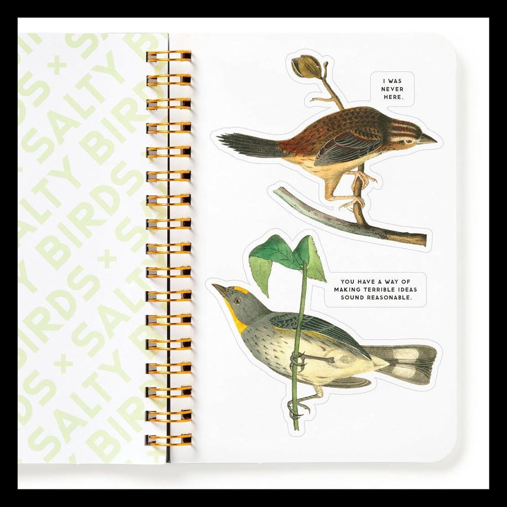 Hachette - Chronicle Books Books Salty Birds Sticker Book