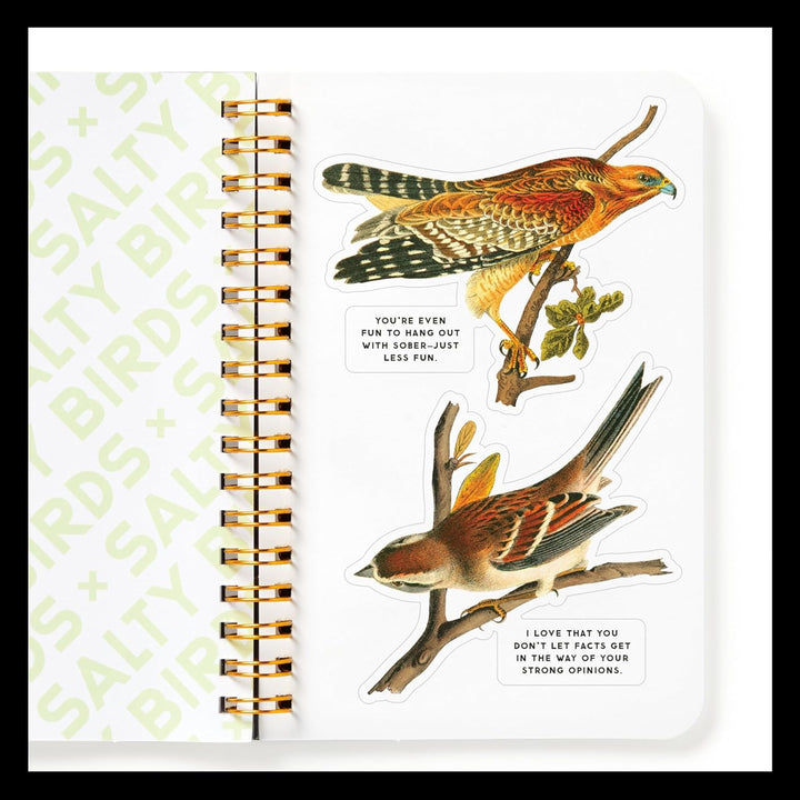 Hachette - Chronicle Books Books Salty Birds Sticker Book