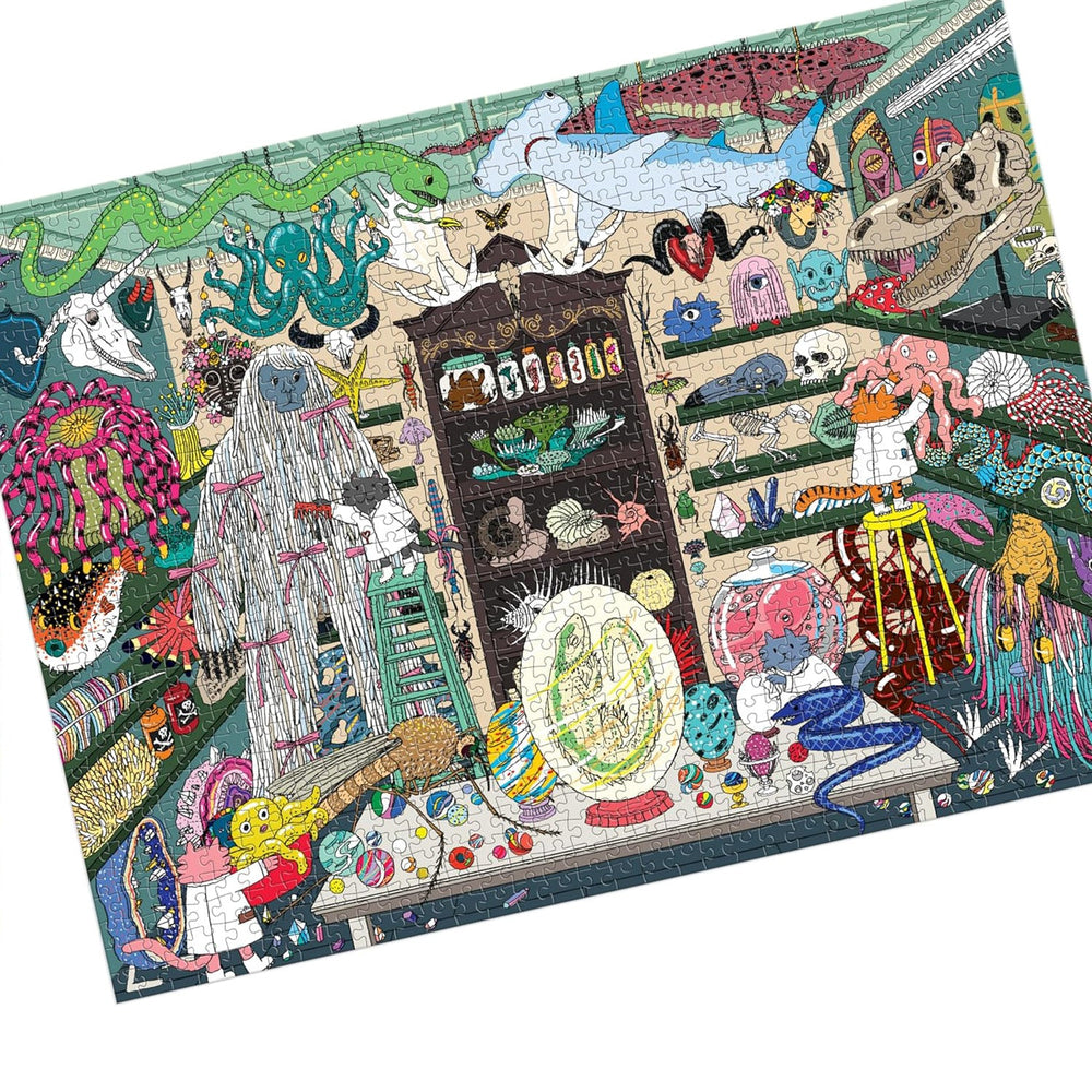 Hachette - Chronicle Books Puzzles World of Curiosities – 1000 pc Puzzle