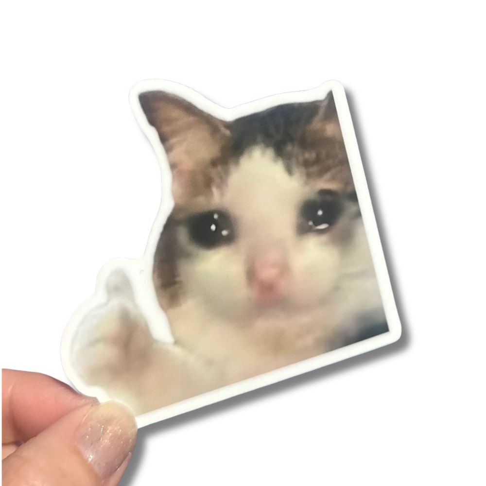 Hilarious Humanitarian Magnets & Stickers Thumbs Up Cat Sticker