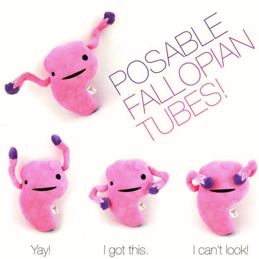 Uterus plush hotsell