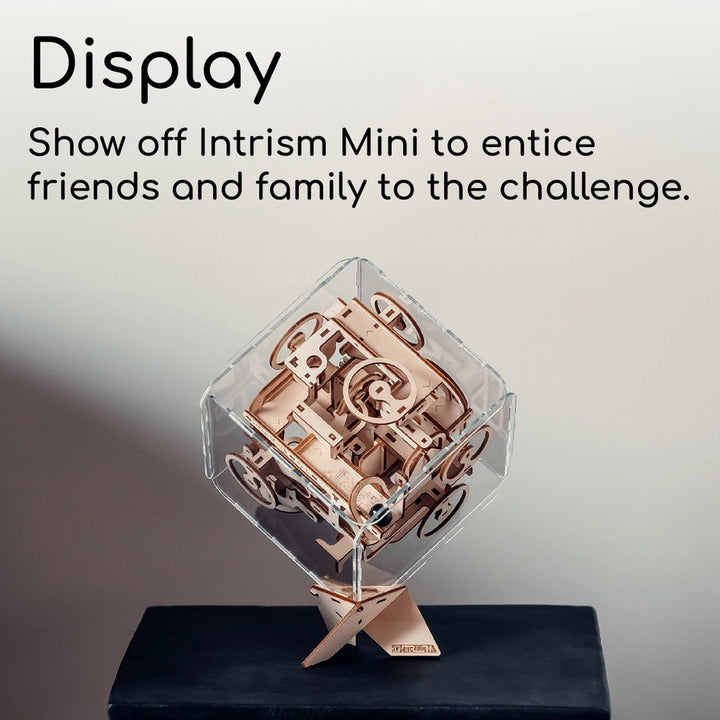 Intrism Arts & Crafts Intrism 3D Marble Labyrinth Assembly Kit