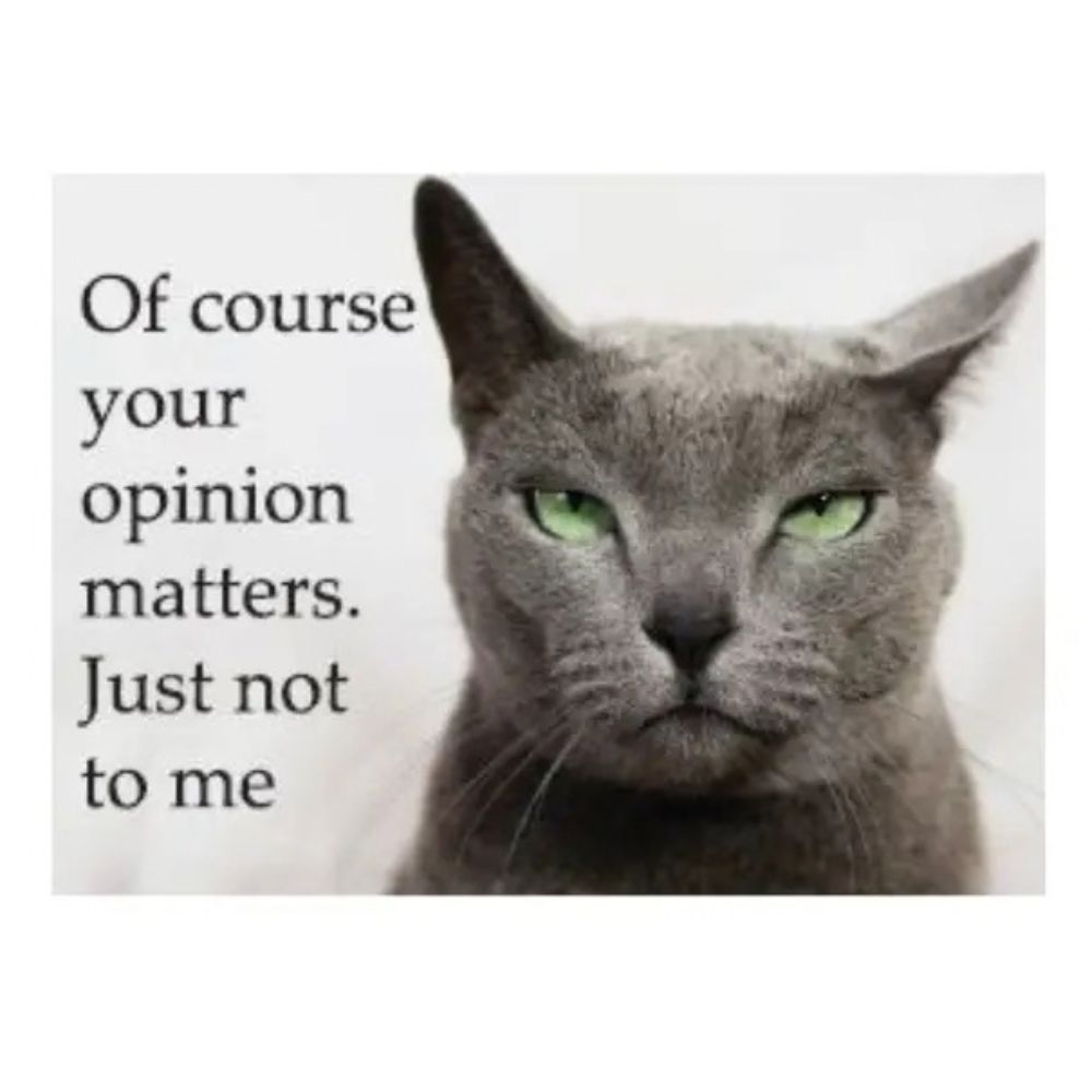 Kalan LP Magnets & Stickers Of Course Your Opinion Matters Jumbo Magnet