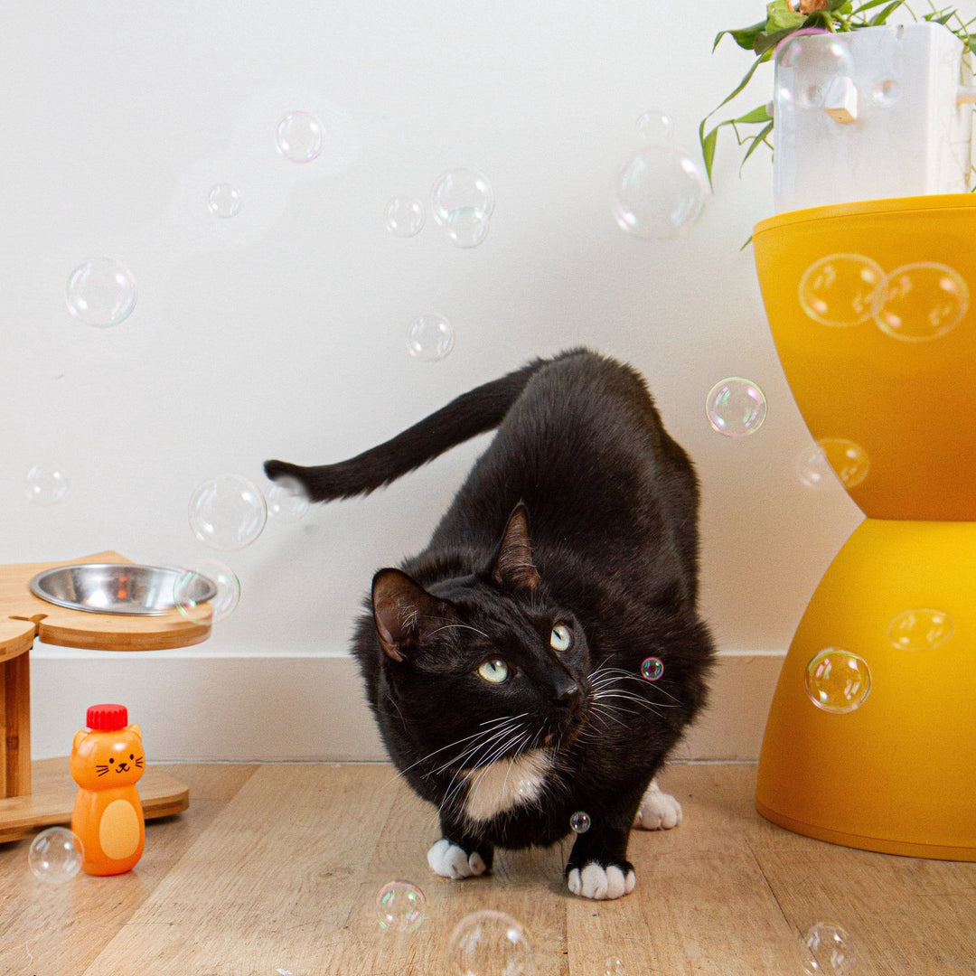 KIKKERLAND Funny Novelties Catnip Infused Bubbles