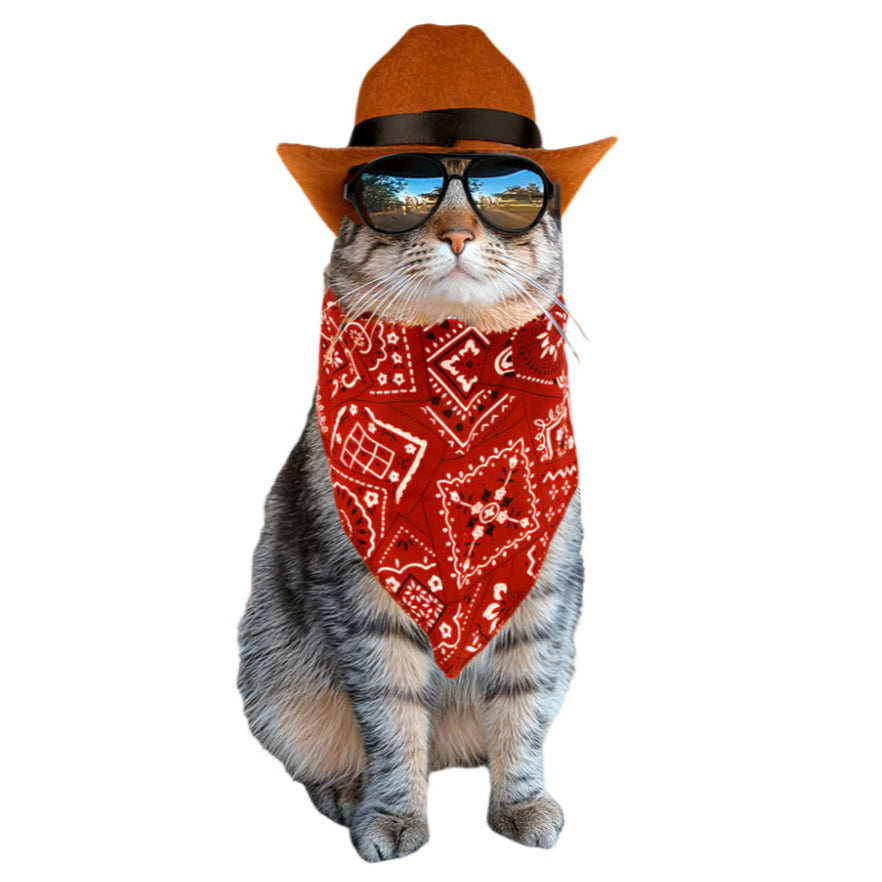 KIKKERLAND Funny Novelties Kitty Western Prop Kit