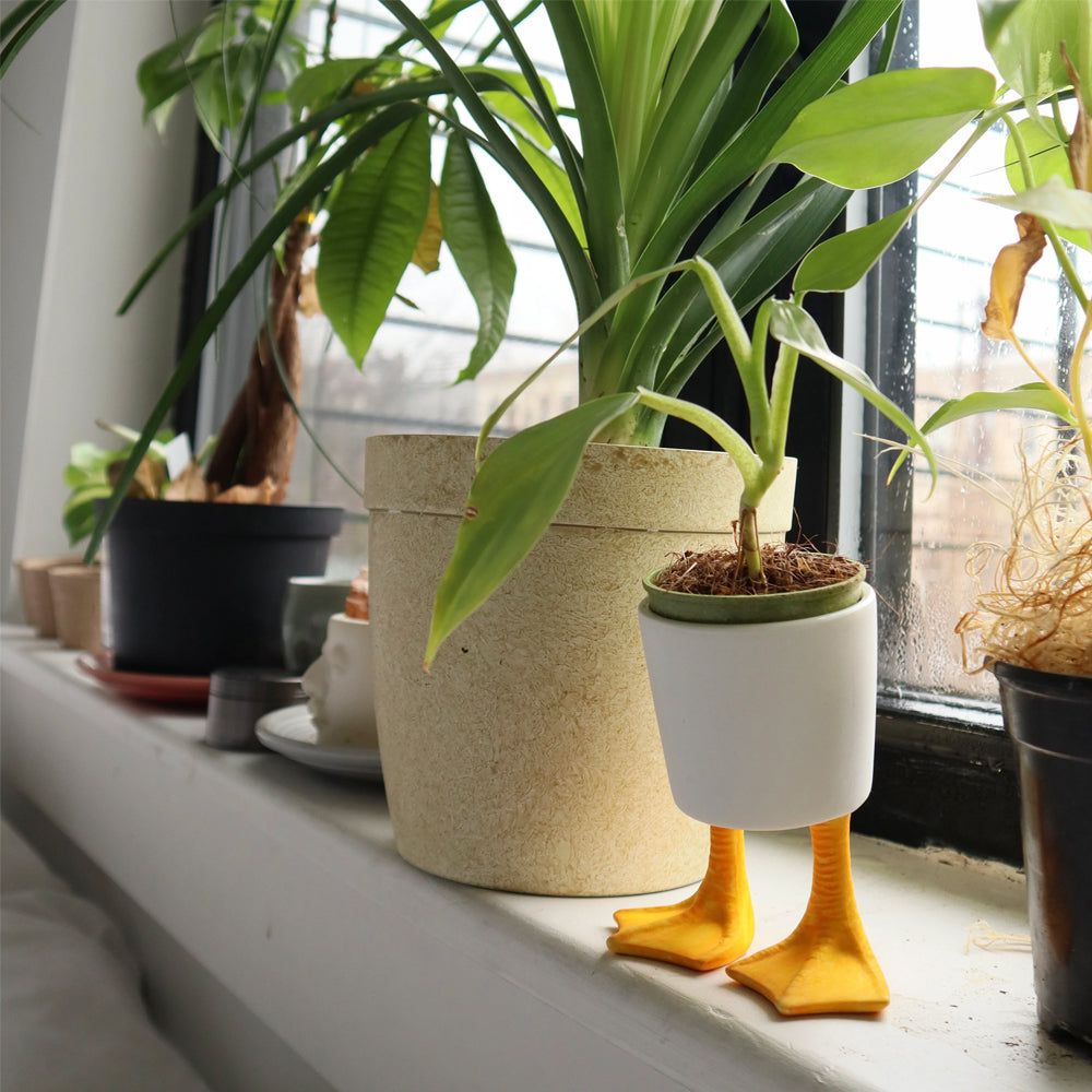 ceramic plant pot with feet Duck Feet Planter – Off the Wagon Shop