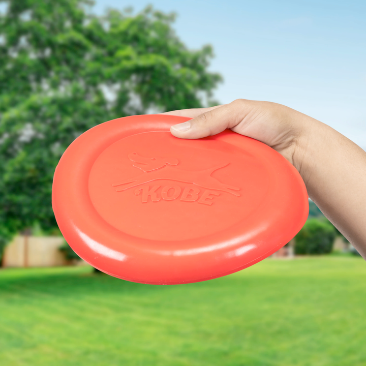 KIKKERLAND Toy Outdoor Fun Bacon Scented Dog Frisbee