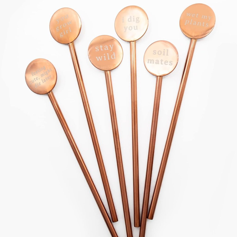 NPW Home Decor Plant Life Plant Marker Pins