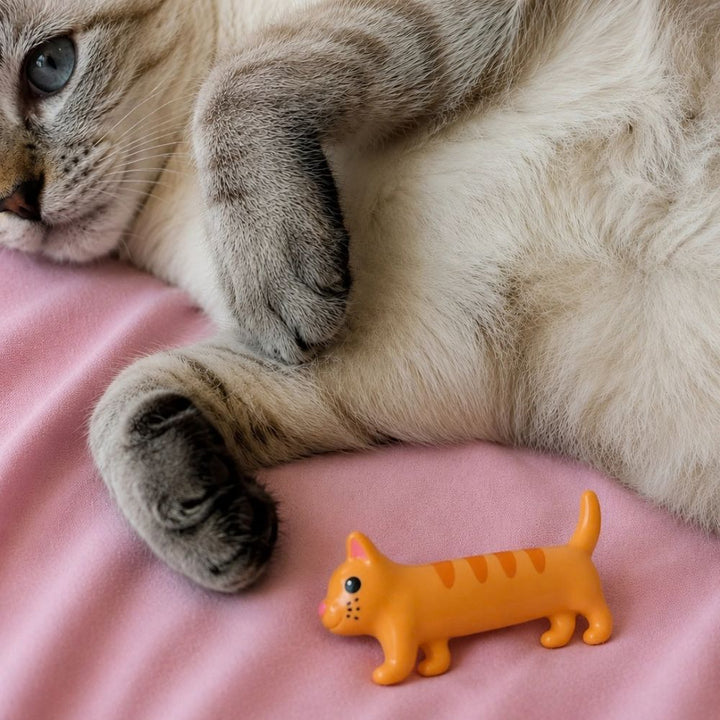 NPW Personal Care Meowsturize Cat Lip Balm