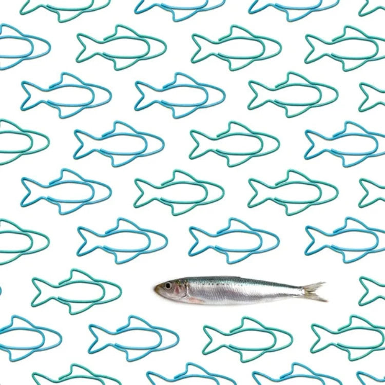Ototo Office Goods Sardine Paper Clips