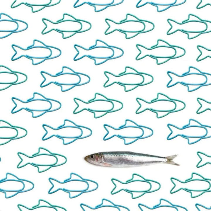 Ototo Office Goods Sardine Paper Clips