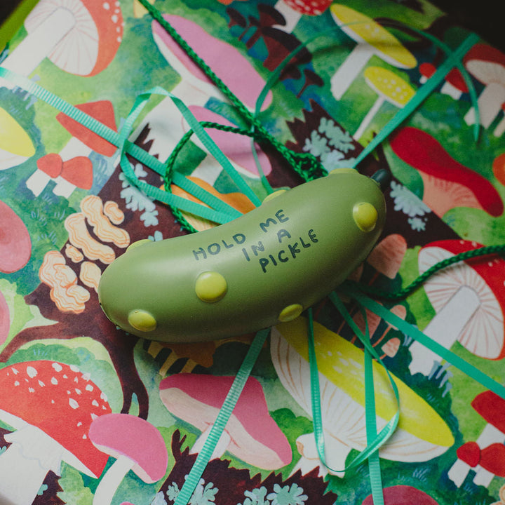 People I've Loved Toy Novelties Pickle Stress Ball - Hold me in a Pickle
