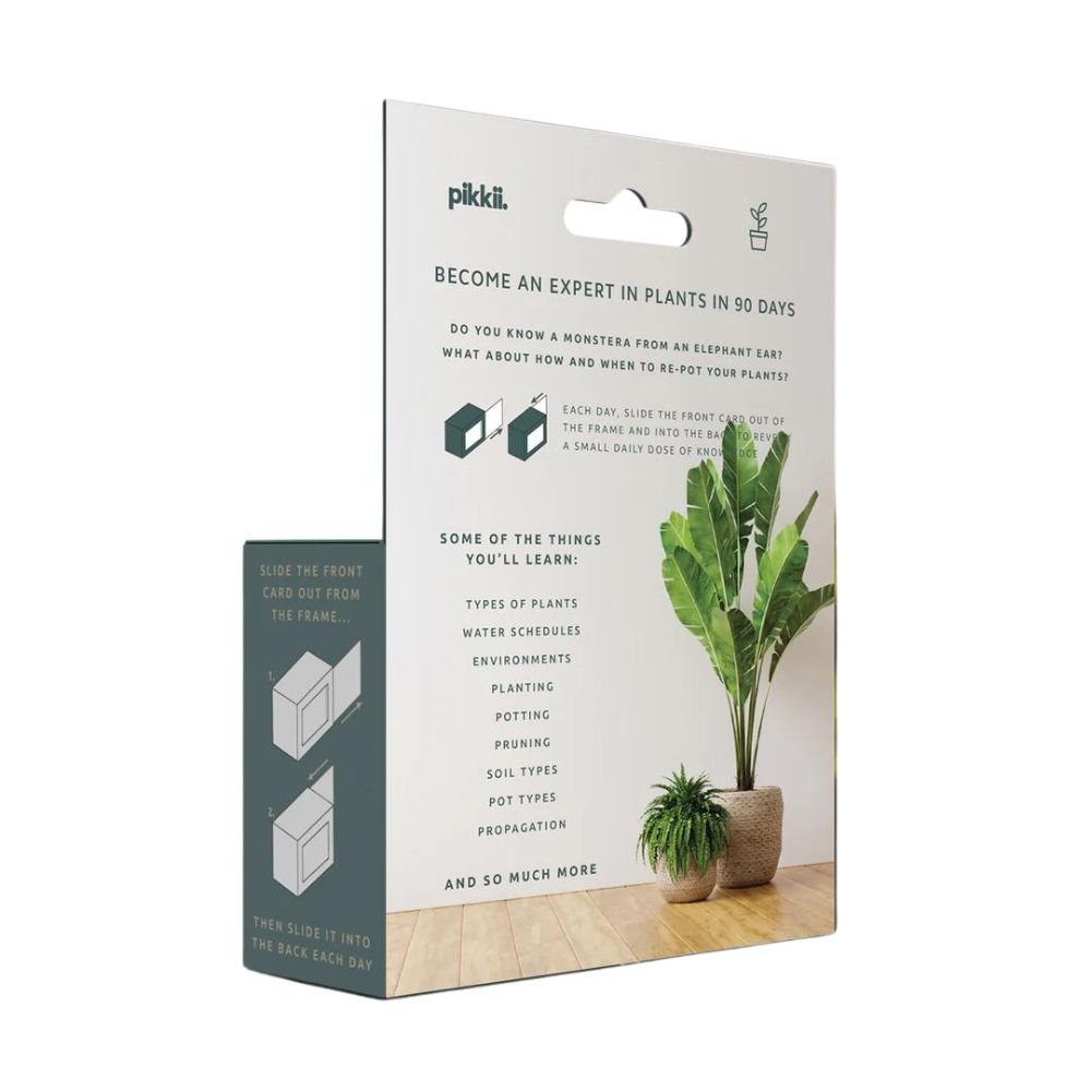 Pikkii Home Decor Become an Expert in Plants in 90 Days Slide Box