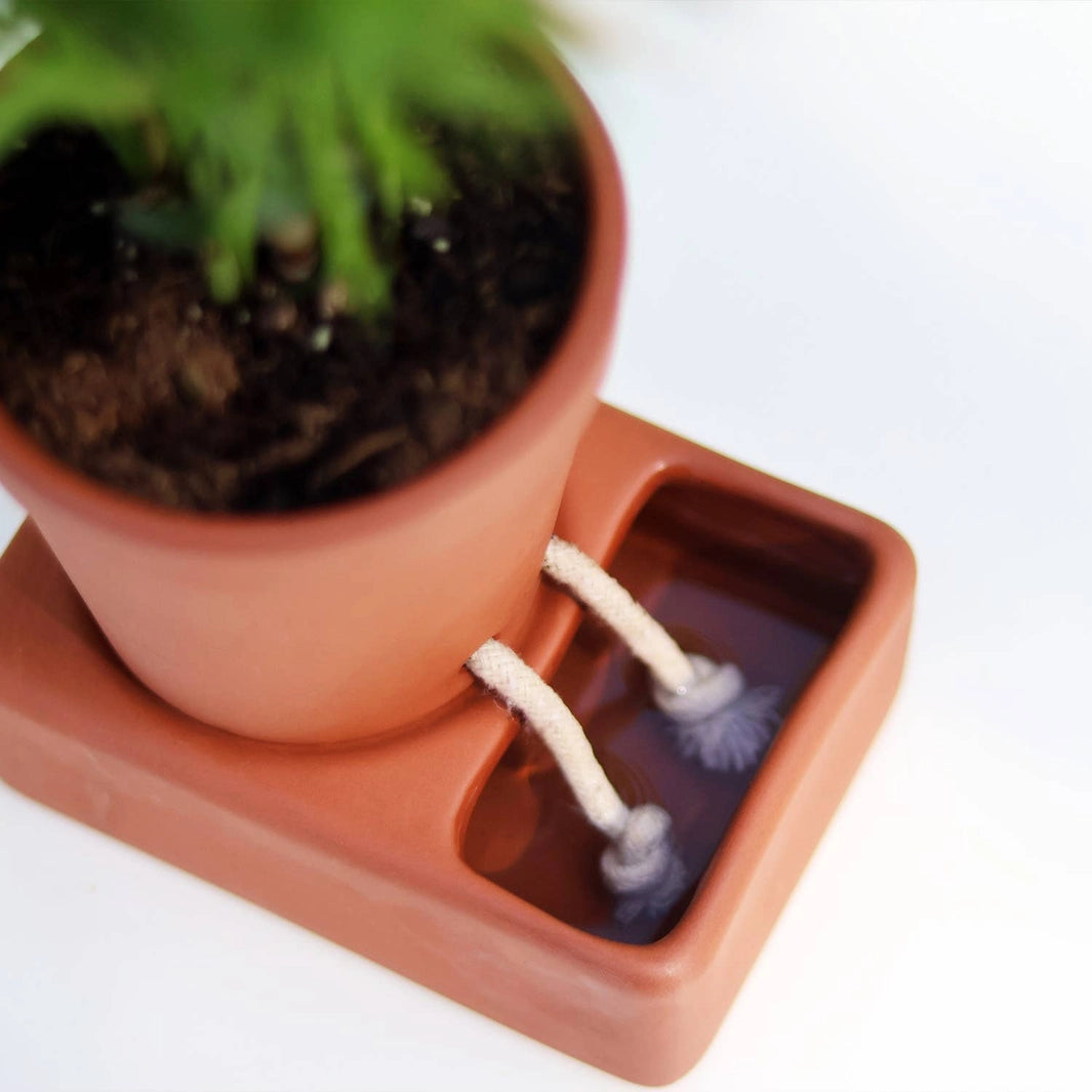 Pikkii Home Decor Self Care Planter