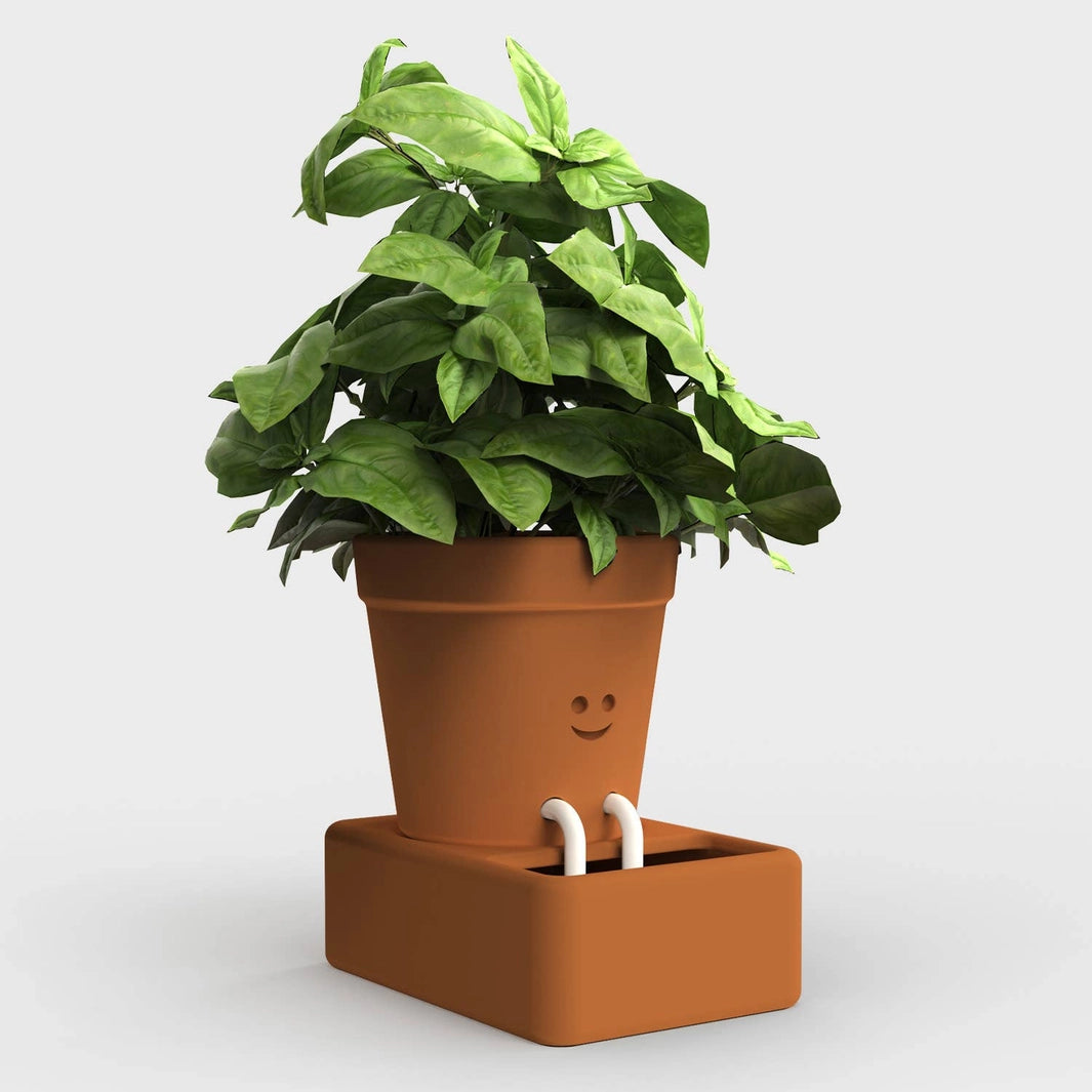 Pikkii Home Decor Self Care Planter