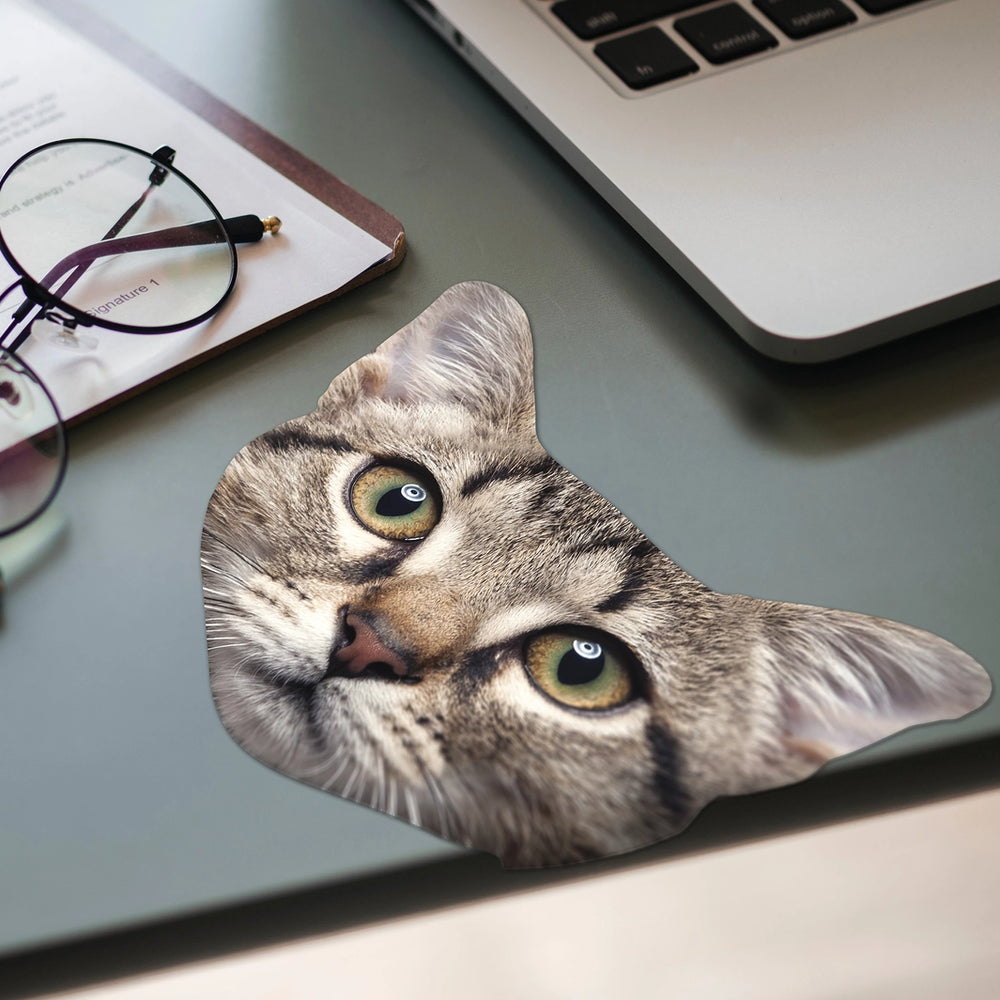 Pikkii Personal Care Cat Glasses Cloth